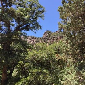 Meet your Posher, Katrina